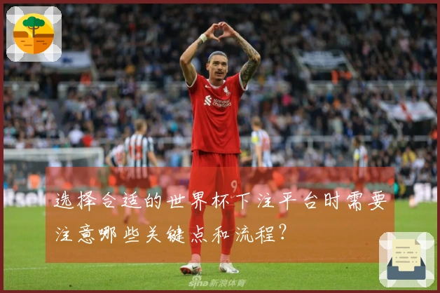 选择合适的世界杯下注平台时需要注意哪些关键点和流程？