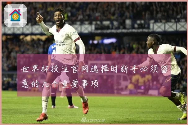 世界杯投注官网选择时新手必须留意的几个重要事项