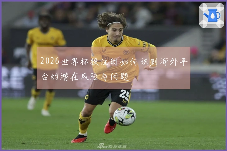 2026世界杯投注时如何识别海外平台的潜在风险与问题