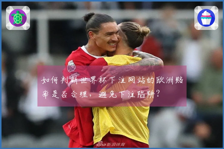 如何判断世界杯下注网站的欧洲赔率是否合理，避免下注陷阱？
