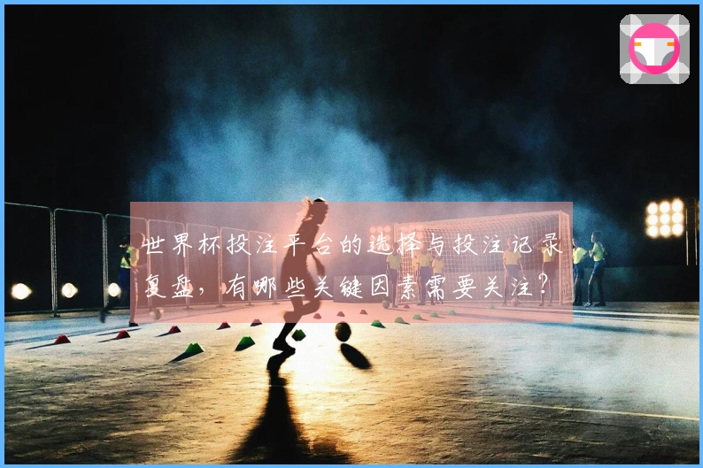 世界杯投注平台的选择与投注记录复盘，有哪些关键因素需要关注？
