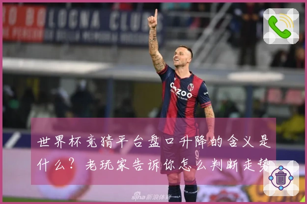 世界杯竞猜平台盘口升降的含义是什么？老玩家告诉你怎么判断走势