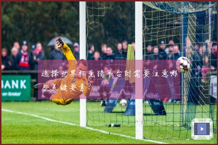 选择世界杯竞猜平台时需要注意哪些关键要素？