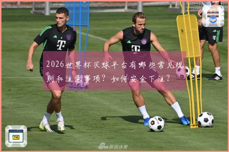 2026世界杯买球平台有哪些常见规则和注意事项？如何安全下注？