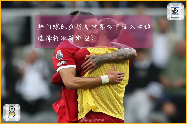 热门球队分析与世界杯下注入口的选择标准有哪些？