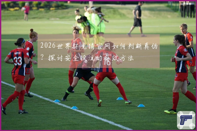 2026世界杯竞猜官网如何判断真伪？探讨安全投注的有效方法