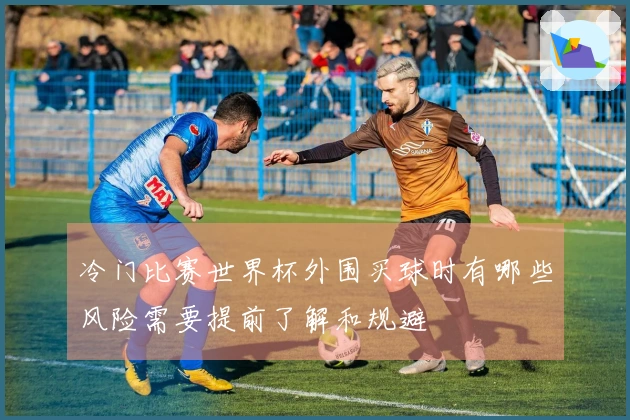 冷门比赛世界杯外围买球时有哪些风险需要提前了解和规避