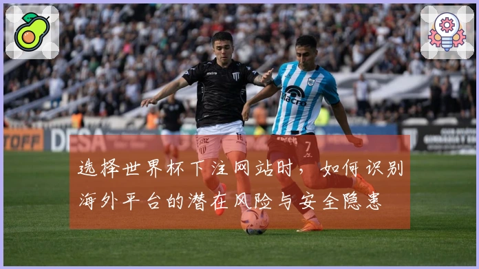选择世界杯下注网站时，如何识别海外平台的潜在风险与安全隐患