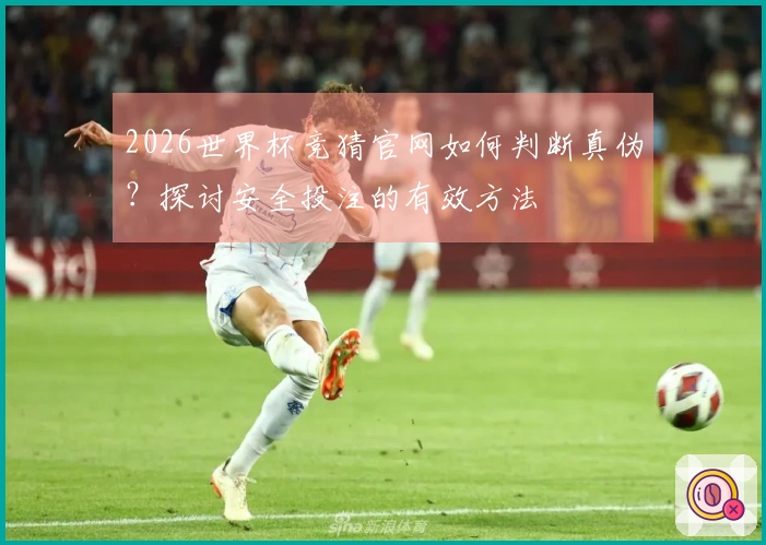 2026世界杯竞猜官网如何判断真伪？探讨安全投注的有效方法