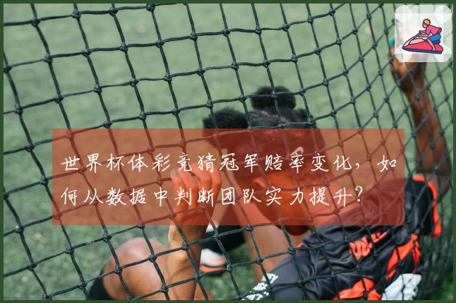 世界杯体彩竞猜冠军赔率变化，如何从数据中判断团队实力提升？