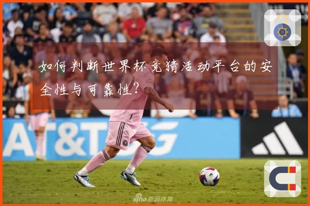 如何判断世界杯竞猜活动平台的安全性与可靠性？