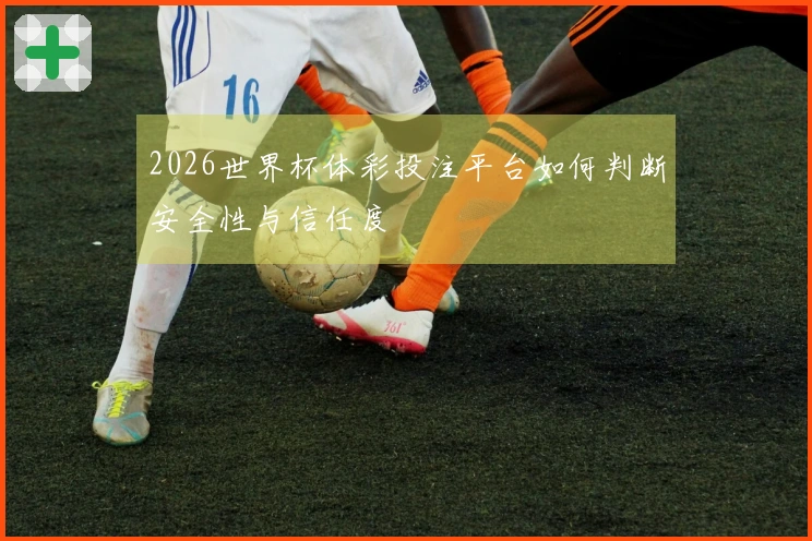 2026世界杯体彩投注平台如何判断安全性与信任度