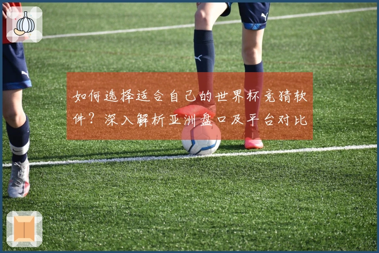 如何选择适合自己的世界杯竞猜软件？深入解析亚洲盘口及平台对比技巧