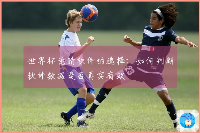 世界杯竞猜软件的选择：如何判断软件数据是否真实有效