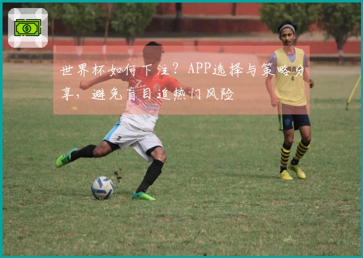 世界杯如何下注？APP选择与策略分享，避免盲目追热门风险