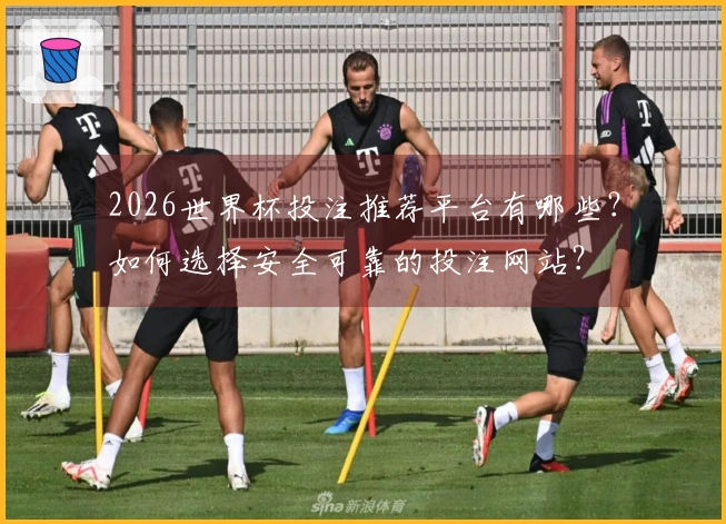 2026世界杯投注推荐平台有哪些？如何选择安全可靠的投注网站？