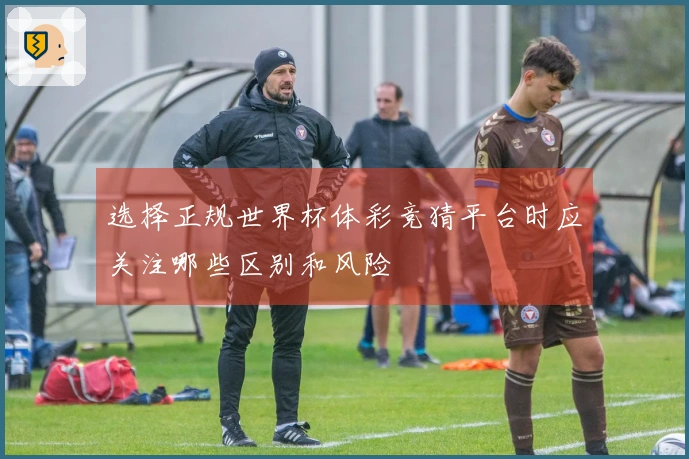 选择正规世界杯体彩竞猜平台时应关注哪些区别和风险