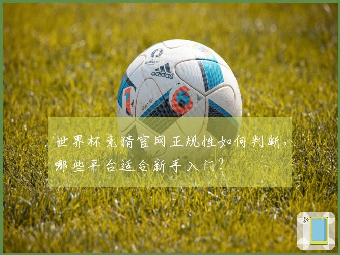世界杯竞猜官网正规性如何判断，哪些平台适合新手入门？