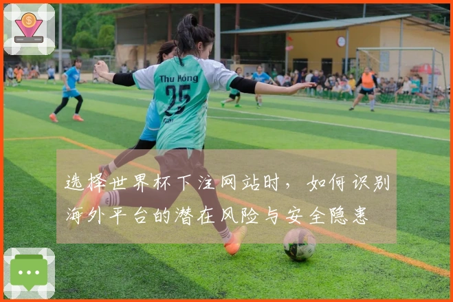 选择世界杯下注网站时，如何识别海外平台的潜在风险与安全隐患
