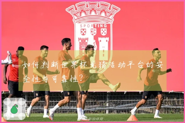 如何判断世界杯竞猜活动平台的安全性与可靠性？