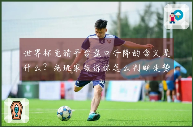 世界杯竞猜平台盘口升降的含义是什么？老玩家告诉你怎么判断走势