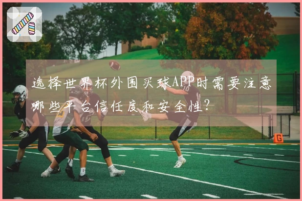 选择世界杯外围买球APP时需要注意哪些平台信任度和安全性？